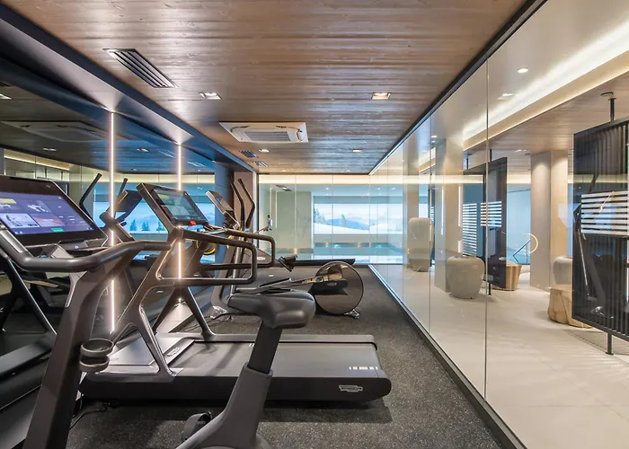 Lägenhet A Avec Espace Bien-etre, Piscine, Sauna Et Salle De Sport - Fr-1-569-35 *